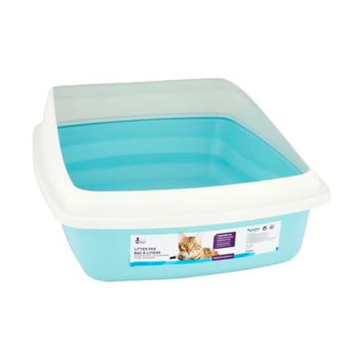 Cat Love Arenero abierto mediano con borde