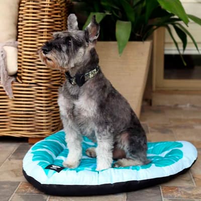 BRNX Cama diseño de hoja mediana para perros y gatos