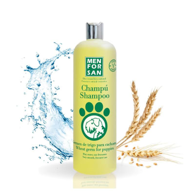 Men For San Shampoo Germen de Trigo para cachorros 300ml