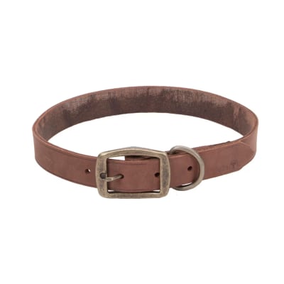 Collar de cuero rústico chocolate para perro Coastal Circle-T