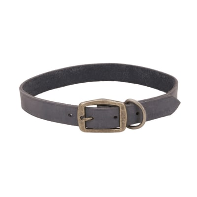 Collar de cuero rústico gris para perro Coastal Circle-T
