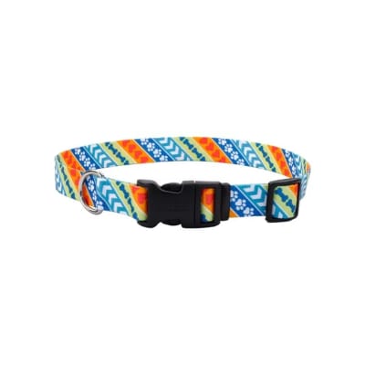 Coastal Style Collar Resolve