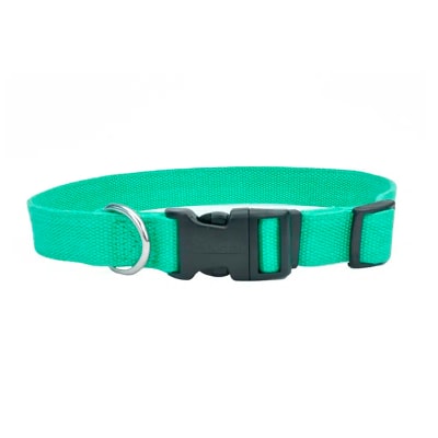 Collar para perro Coastal New Earth de soya color menta
