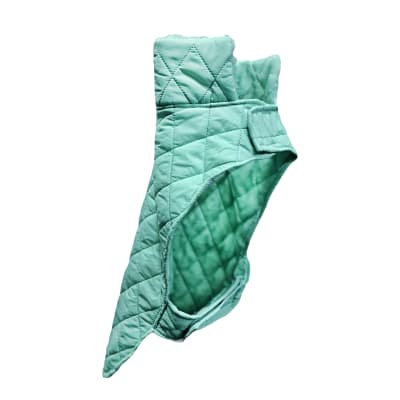 DD Parka verde agua para perros