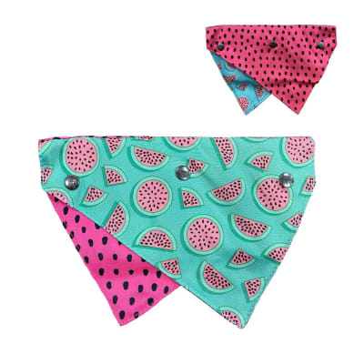 FuzzYard Bandana Summer Punch