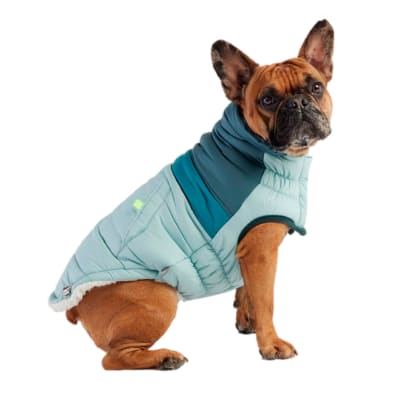 GFPET Chaqueta Retro Puffer Celeste