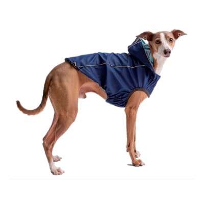 GFPET Impermeable Reversible Azul/Celeste Talla XS