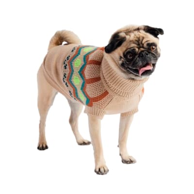 GFPET Sweater Heritage Arena Talla XS