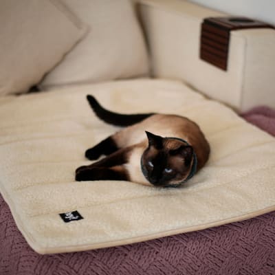 Mat sobrecama térmico sin enchufe (70 alto x 102,5)