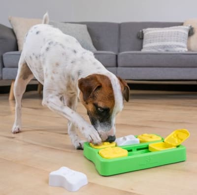 Juguete interactivo para perro Dog Brick Small Nivel 2 color verde de Nina Ottosson