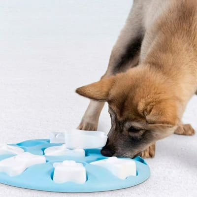 Juguete interactivo para perro Puzzle Smart Nivel 1 color azul de Nina Ottosson