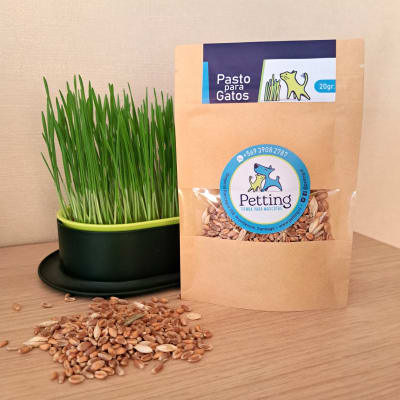 Kit Maceta Hidropónica + Semillas de Pasto para Gatos (20gr)