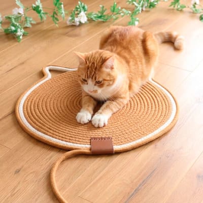 Alfombrilla para rascar Pet'sFun para gatos 43 x 43 cm
