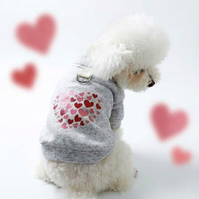 Polerón para perro con diseño de corazones