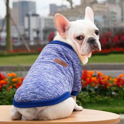 Chaleco Classic Jaspeado azul para perro