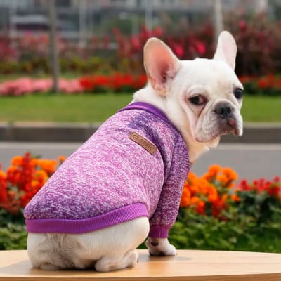 Chaleco Classic Jaspeado morado para perro