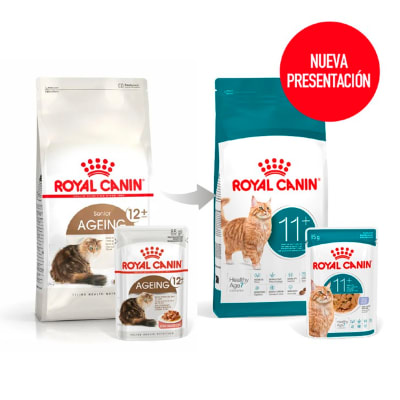 Royal Canin Gato Ageing 11+ 2 kg