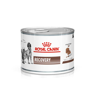 Alimento húmedo medicado Royal Canin Recovery para gato y perro
