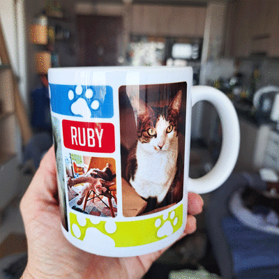 Tazón con fotos y nombre de tu mascota