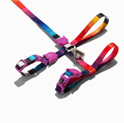 ZeeCat arnés con correa Prisma de ZeeDog para gatos