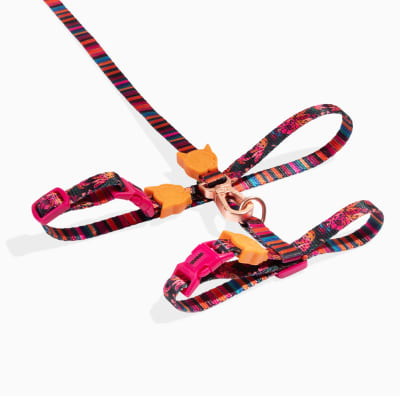 ZeeCat arnés con correa Selva de ZeeDog para gatos