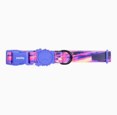 ZeeDog Collar Glitch Error 500 para perros