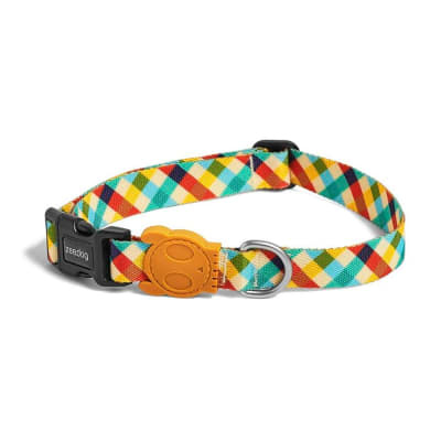 ZeeDog Collar Phantom para perros