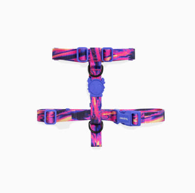 ZeeDog arnés H-harness Glitch Error 500 para perros