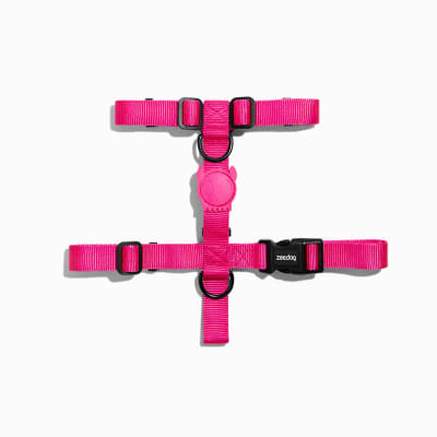 ZeeDog arnés H-harness Pink Led para perros