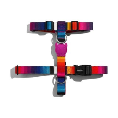 ZeeDog arnés H-harness Prisma para perros