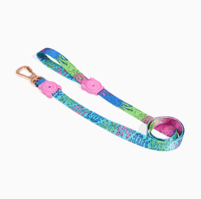 ZeeDog Correa Lozt Melted Leash para perros ZeeDog