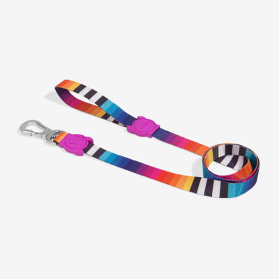 ZeeDog Correa Prisma Leash para perros