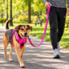 Mascan Correa deportiva fucsia con morado de 150 cm de largo 2