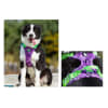 True Love Arnés antitirones ergonómico camouflage purple green para perros XL 2