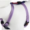 GiGwi Arnés Morado 0