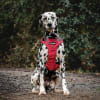 Petlounge arnés Outdoor burdeo 3