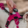 Petlounge arnés Outdoor rosado 5