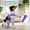 Petlounge Arnés Easy Glam morado para perros 4