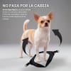 Petlounge Arnés Easy Glam negro para perros 3