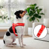 Petlounge Arnés Easy Glam rojo para perros 4