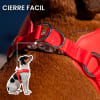 Petlounge Arnés Easy Glam rojo para perros 7