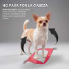Petlounge Arnés Easy Glam rosado para perros 3