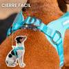Petlounge Arnés Easy Glam turquesa para perros 7