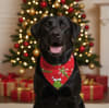 Bandana Navideña para perro Merry GrinchMass rojo 2