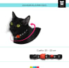 ZeeCat collar Honey de ZeeDog para gatos 4