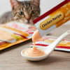 Churu gato senior 10+ sabor pollo 2