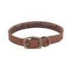 Collar de cuero rústico chocolate para perro Coastal Circle-T 0