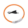Coastal Collar de Luz recargable con USB 2
