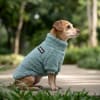 Petlounge Corderito chiporro ultra suave Celeste 2