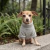 Petlounge Corderito chiporro ultra suave Gris 2